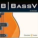 CHOCOLATE AUDIO BBASSV ELECTRIC BASS(オンライン納品)(2時間以内に納品) プラグインソフト