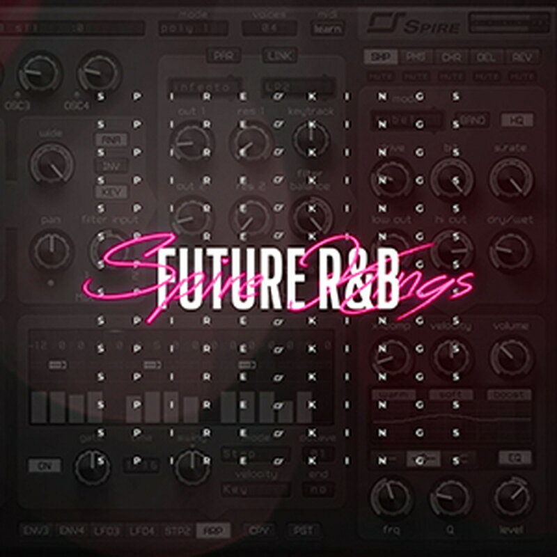 DIGINOIZ SPIRE KINGS FUTURE RNB(����饤��Ǽ��)(2���ְ����Ǽ��) �ץ饰���󥽥ե�