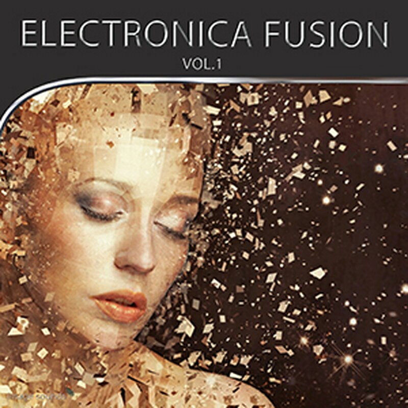 IMAGE SOUNDS ELECTRONICA FUSION 1(オンライン納品)(2時間以内に納品) プラグインソフト