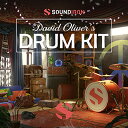 SOUNDIRON DAVID OLIVER'S DRUM KIT(オンライン納品)(2時間以内に納品) ソフトウェア音源
