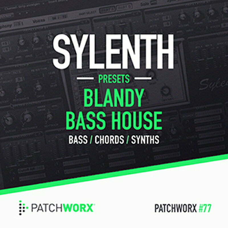 LOOPMASTERS BLANDY BASS HOUSE SYLENTH PRESETS(オンライン納品)(2時間以内に納品) プラグインソフト