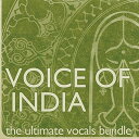 EARTH MOMENTS VOICE OF INDIA(オンライン納品)(2時間以内に納品) プラグインソフト