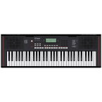あす楽 【GWゴールドラッシュセール】E-X10(Arranger Keyboard)(限定特価) Roland シンセサイザー・電子楽器 シンセサイザー