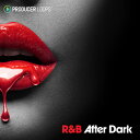 PRODUCER LOOPS R&B AFTER DARK(オンライン納品)(2時間以内に納品) プラグインソフト
