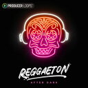PRODUCER LOOPS REGGAETON AFTER DARK(オンライン納品)(2時間以内に納品) プラグインソフト