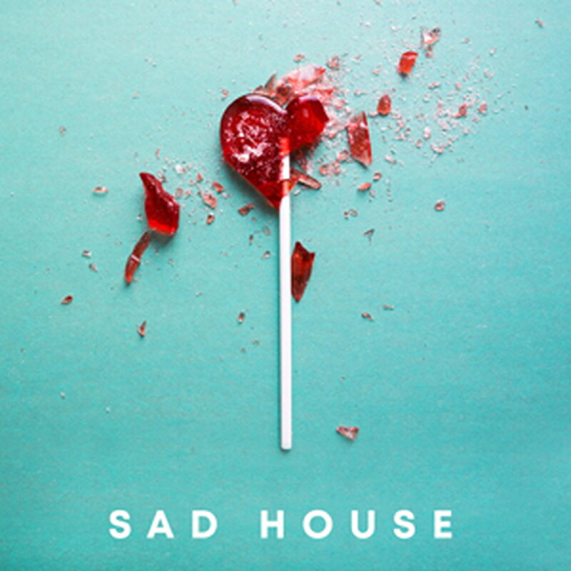 PRODUCER LOOPS SAD HOUSE(オンライン納品)(2時間以内に納品) プラグインソフト
