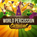 ORGANIC LOOPS WORLD PERCUSSION CARNIVAL(オンライン納品)(2時間以内に納品) プラグインソフト
