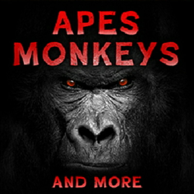 Rakuten - SOUND IDEAS APES， MONKEYS & MORE(オンライン納品)(2時間以内に納品) プラグインソフト