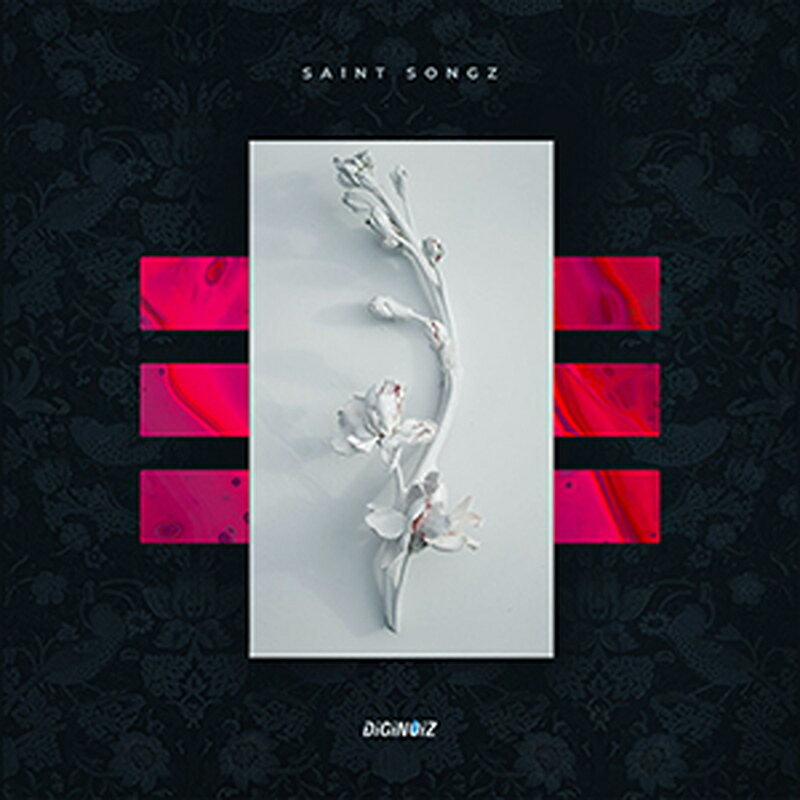 DIGINOIZ/コード販売 商品一覧＞＞DIGINOIZ/新品 商品一覧＞＞DTM【〜5，000円】 商品一覧＞＞プラグインソフト/プラグインその他/DIGINOIZ 商品一覧＞＞詳しくはこちらをご覧くださいDIGINOIZ SAINT ...