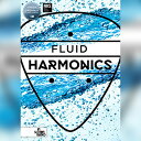IN SESSION AUDIO FLUID HARMONICS(オンライン納品)(2時間以内に納品) ソフトウェア音源