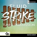 IN SESSION AUDIO FLUID STRIKE(オンライン納品)(2時間以内に納品) ソフトウェア音源