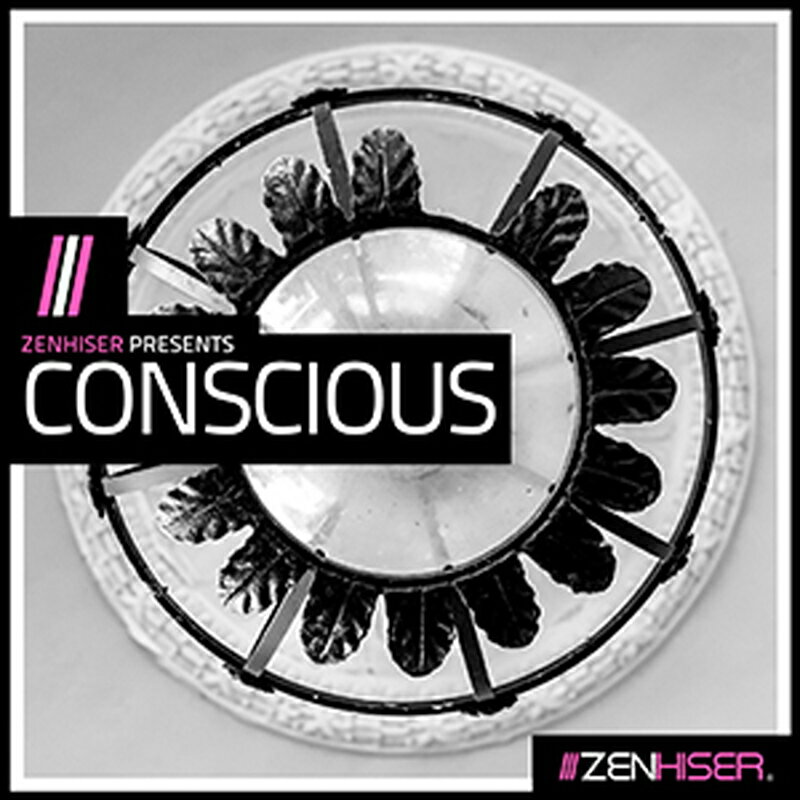 ZENHISER CONSCIOUS(オンライン納品)(2時間以内に納品) プラグインソフト