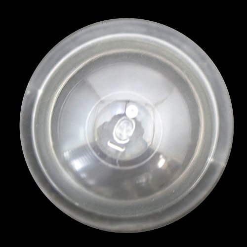 BIGM(�ݻ������) ��ʧ�����Υ��ڥ����ѡ��� �ץ饤��