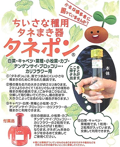 �������ʼ��ѥ��ͤޤ��� ���ͥݥ�