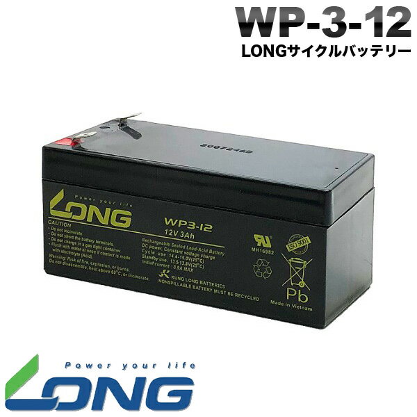 サイクルバッテリー LONG WP3-12 産業用鉛蓄電池 長寿命 保証書付き UPS 無停電電源装置 など対応