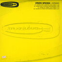【中古】英12” Urban Species Woman TKDJ051PROMO TALKIN LOUD /00250