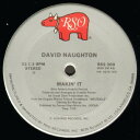 【中古】加12” David Naughton Makin It RSS300 RSO, RSO /00250