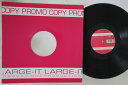 【中古】国不明12” Red Lite Another Day LGT8035 LARGE-IT /00250