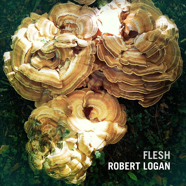 Artist Name: P - 【中古】英CD Robert Logan Flesh SLOCD026 Slowfoot Records /00110