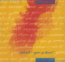 【中古】英12” Xpansions What You Want 614246 Arista, Optimism Rec /00250