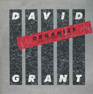 【中古】英12” David Grant Organize GRANX5,GRANX5 Chrysalis /00250