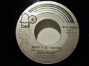 【中古】加7” David Cassidy Could It Be Forever / Blind Hope 45187 Bell Records /00080