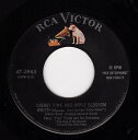 【中古】米7” Perez Prado & His Orchestra Cherry Pink And Apple Blossom White / Maria ...