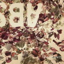 【中古】CD Predawn Absence RDCA1044 POKHARA RECORDS /00110