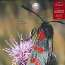 【新品】英LP Toyah & The Humans Strange Tales DEMREC701 Demon Records /00260