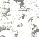 【新品】2LP Ex Wiish Shards Of Axel INC025 Incienso /00520