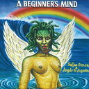 【新品】LP Sufjan Stevens & Angelo De Aug A Beginners Mind AKR143 Asthmatic Kitty Re...
