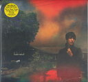 【新品】ワールドワイドLP Sharon Van Etten Weve Been Going About This All Wrong JAG395LPC1 J...