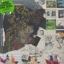 【新品】米2LP Animal Collective Time Skiffs WIGLP501 Domino /00520