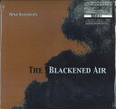 【新品】米LP Nina Nastasia The Blackened Air TG231 Touch And Go /00260