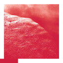 【新品】英LP David Allred The Cell ERATP121LP Erased Tapes Records /00260