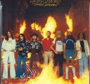 【新品】英LP Lynyrd Skynyrd Street Survivors 5355019 MCA Records /00400