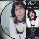 【新品】米LP David Cassidy I Think I Love You (Greatest Hits Live) CLO0791 Goldenlane...