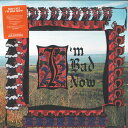 【新品】英LP Nap Eyes Im Bad Now JAG318 Jagjaguwar /00260