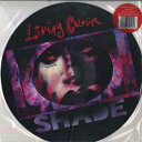 【新品】米LP Living Colour Shade NONE Megaforce Records /00260