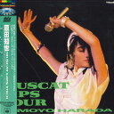 【中古】LASERDISC 原田知世 Muscat Lips Tour 68LH114 CBS SONY /00600