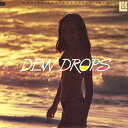 【中古】LASERDISC Various Dew Drops - Bgv By Contemporary Jazz LVD504 LOBSTAR /00600