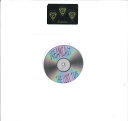 【新品】米LP Dreamcast The Lost Tape BURYMEINAMINK1 NOT ON LABEL /00260
