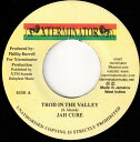 【中古】ジャマイカ7” Jah Cure Trod In The Valley NONE XTerminator /00080