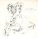【中古】LP Larry Coryell & Steve Khan Two For The Road 25RS109 ARISTA /00260