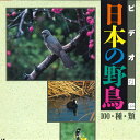 【中古】LASERDISC Movie 日本の野鳥 VILY8 VICTOR /00600