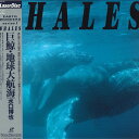 【中古】LASERDISC Movie 巨鯨・地球大航海 SRLW1501 SONY /00600