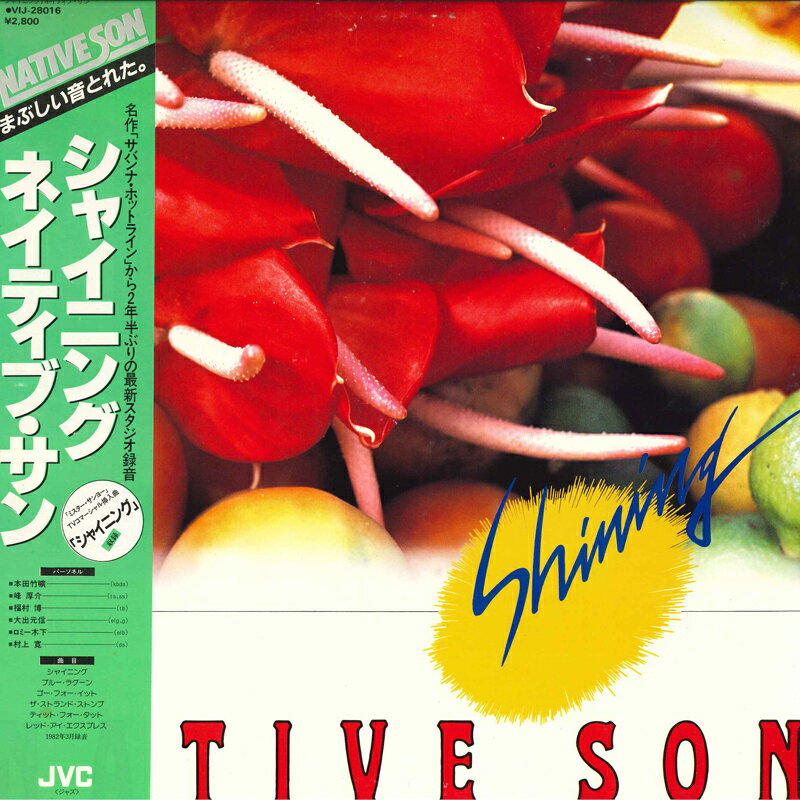 【中古】LP Native Son Shining VIJ28016 JVC /00260