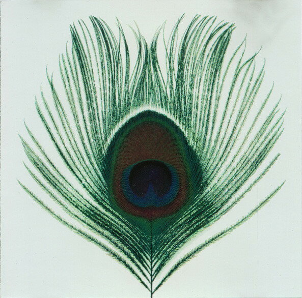 【中古】米CD XTC Apple Venus 1 TVT32502 TVT /00110