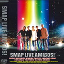 【中古】LASERDISC Smap Smap Live Amigos VILL125 VICTOR /00600