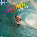 【中古】LASERDISC Sports ビッグウェイブ FY11325HD HERALD /00600